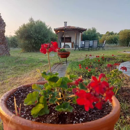 Gaia Olives 别墅 *