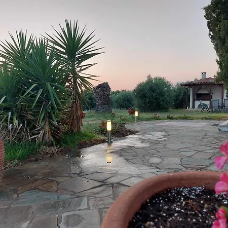 Gaia Olives 索佐波尔