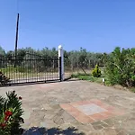 别墅 Gaia Olives 索佐波尔