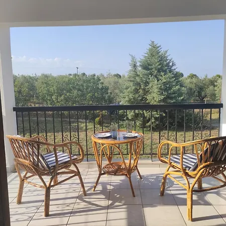 Villa Gaia Olives *