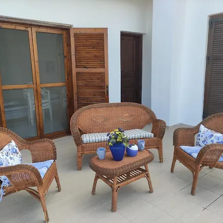 Gaia Olives Sozópolis