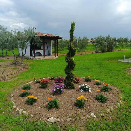 Gaia Olives Луксозна вила Созополи