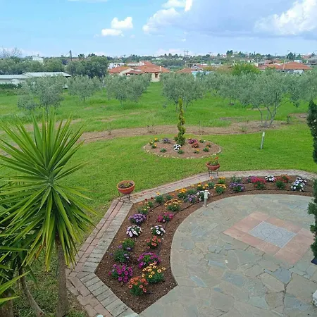 Gaia Olives Villa