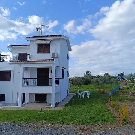 Villa Gaia Olives