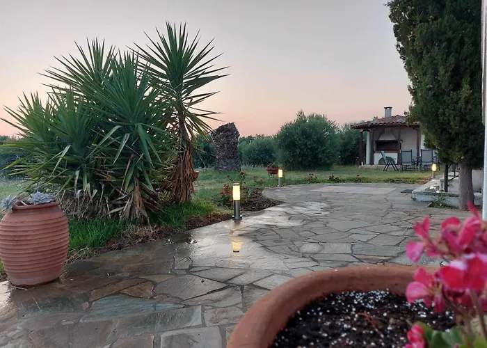 Gaia Olives Σωζόπολη