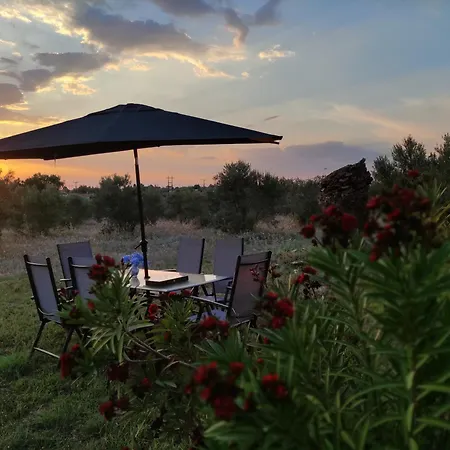 Villa Gaia Olives *