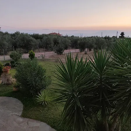 Gaia Olives Sozopoli