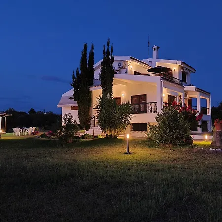 Vila Gaia Olives *