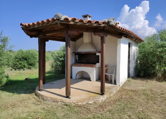 Vila Gaia Olives