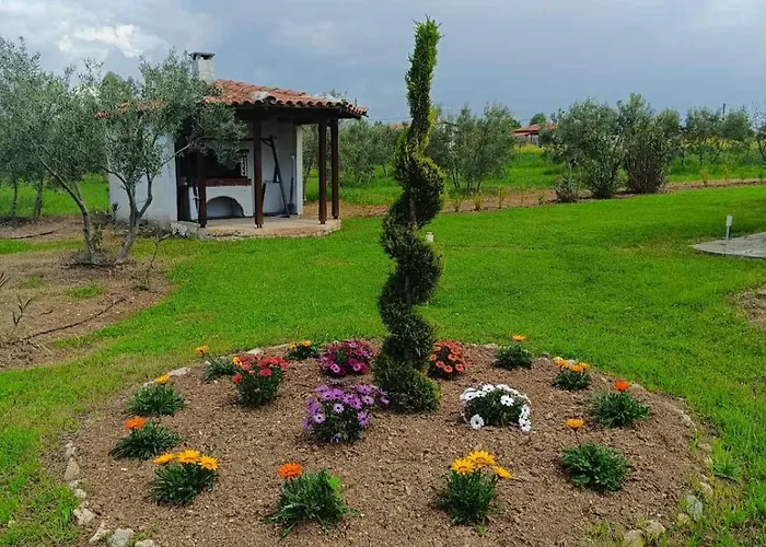 Gaia Olives Vila Sozopoli