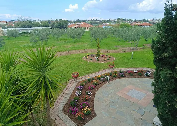 Gaia Olives Vila