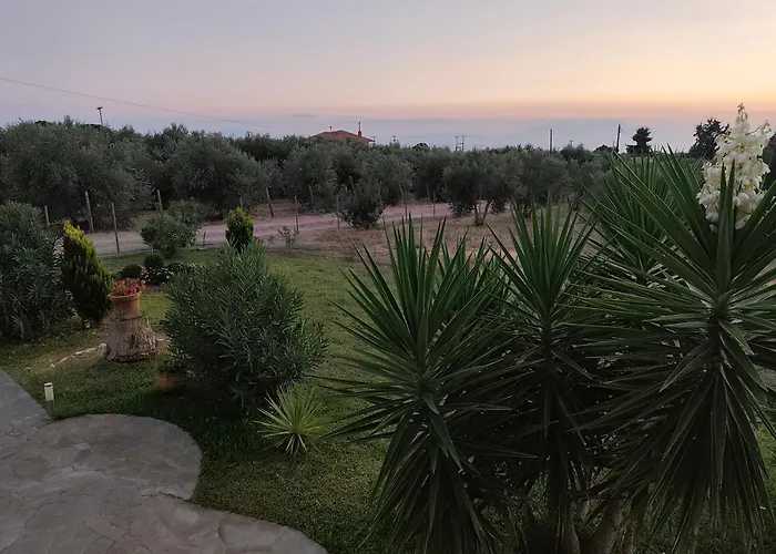 Gaia Olives Sozopoli