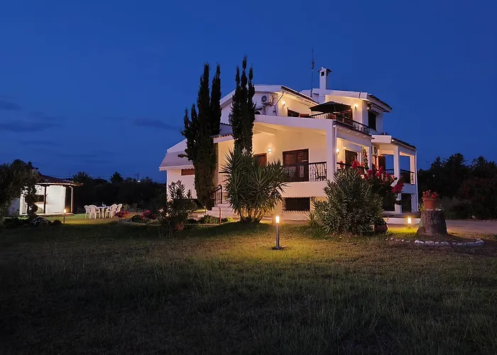 Vila Gaia Olives *